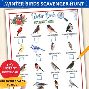Búsqueda del tesoro de aves de invierno, identificación de aves de invierno, búsqueda del tesoro de aves para niños, actividad en interiores, tarjetas didácticas de aves, tarjetas de aves de jardín