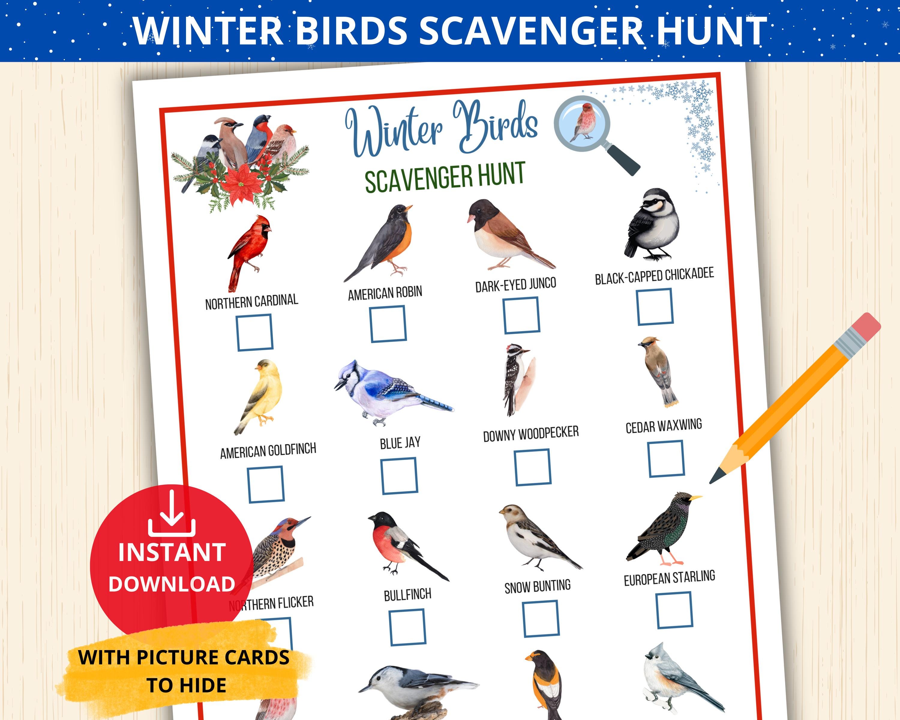 Winter Birds scavenger hunt,winter birds Identification,Bird Scavenger Hunt for Kids,Indoor Activity,birds flashcards,backyard birds cards