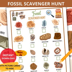 fossilskattjakt, dinosaurieskattjakt, paleontologiaktivitet, förhistoriska barn, dinosauriefödelsedagslek, naturskattjakt, fossilinlärning