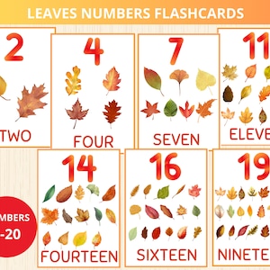 Peut inclure: Cartes éducatives avec des illustrations de feuilles et des chiffres de 1 à 20. Chaque carte affiche un chiffre en rouge, ainsi que son nom écrit. Les cartes sont conçues pour l'apprentissage et présentent diverses formes et couleurs de feuilles.