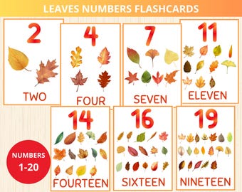 leaves numbers flashcards,Autumn Leaf Number,autumn counting card,fall number,autumn math,leaf counting game,leaf unit study,fall Homeschool