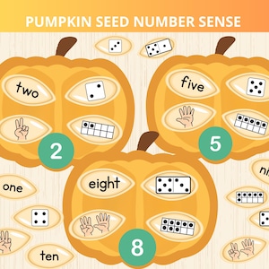 Könnte beinhalten: Bildungsarbeitsblatt mit dem Titel PUMPKIN SEED NUMBER SENSE mit drei orangefarbenen Kürbissen, beschriftet mit 2, 5 und 8. Jeder Kürbis enthält Kürbiskernformen, die Zahlen als Wörter, Würfel, Handgesten und Zehnerfeld-Punktmuster zeigen.