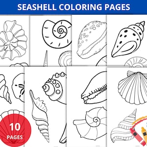 May include: A collection of ten seashell coloring pages. Each page features a different black and white line drawing of various seashells, including spiral, conch, and scallop shapes. The title "Seashell Coloring Pages" is at the top.