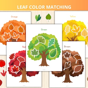 Pode incluir: Um conjunto de atividades educativas de correspondência de cores de folhas com cinco cartões brancos, cada um exibindo uma árvore em laranja, amarelo, verde, vermelho ou castanho. O texto LEAF COLOR MATCHING aparece no topo, com folhas ilustradas.