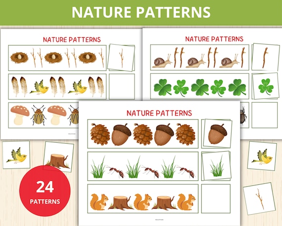Patterns In Nature Activities For Kids