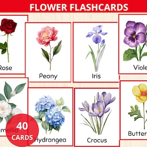 Cartes-éclair sur les fleurs,étude d'unités florales,abc de la nature,école maternelle de printemps,fleurs sauvages Montessori,vocabulaire sur les fleurs,nomenclature des fleurs,apprentissage des fleurs