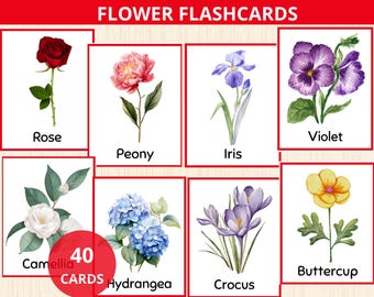 Flower Flashcards,flower unit study,nature abc,spring preschool,Wildflower Montessori,flower vocabulary,flower Nomenclature,flower learning
