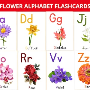 Alfabeto de flores, flashcards de flores, cartões de identificação de flores, cartões de aprendizagem ABC, atividades pré-escolares de primavera, flores de A a Z, flores montessorianas