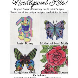 Beginner Needlepoint Kit