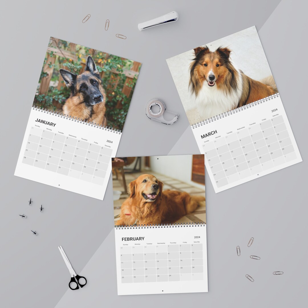 Your Favorite Paws, 2024 Calendar, 2024 Wall Calendar, Dog Calendar