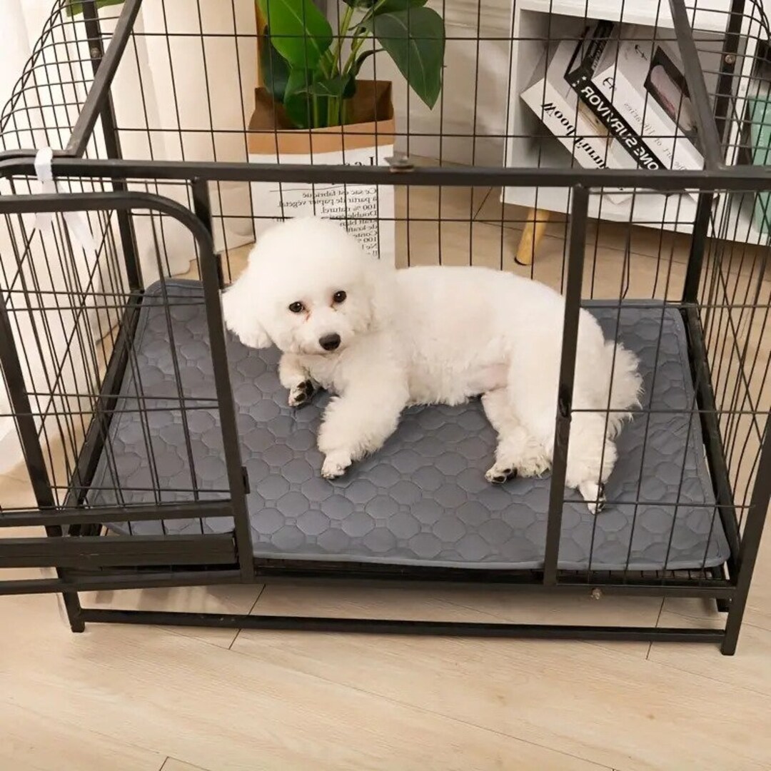 Waterproof Dog Mat Padded Dog Mat Puppy Mat Protective Etsy