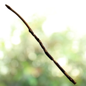 May include: A long, thin, brown stick with a dark brown, segmented pattern. The stick is slightly curved and has a pointed end.