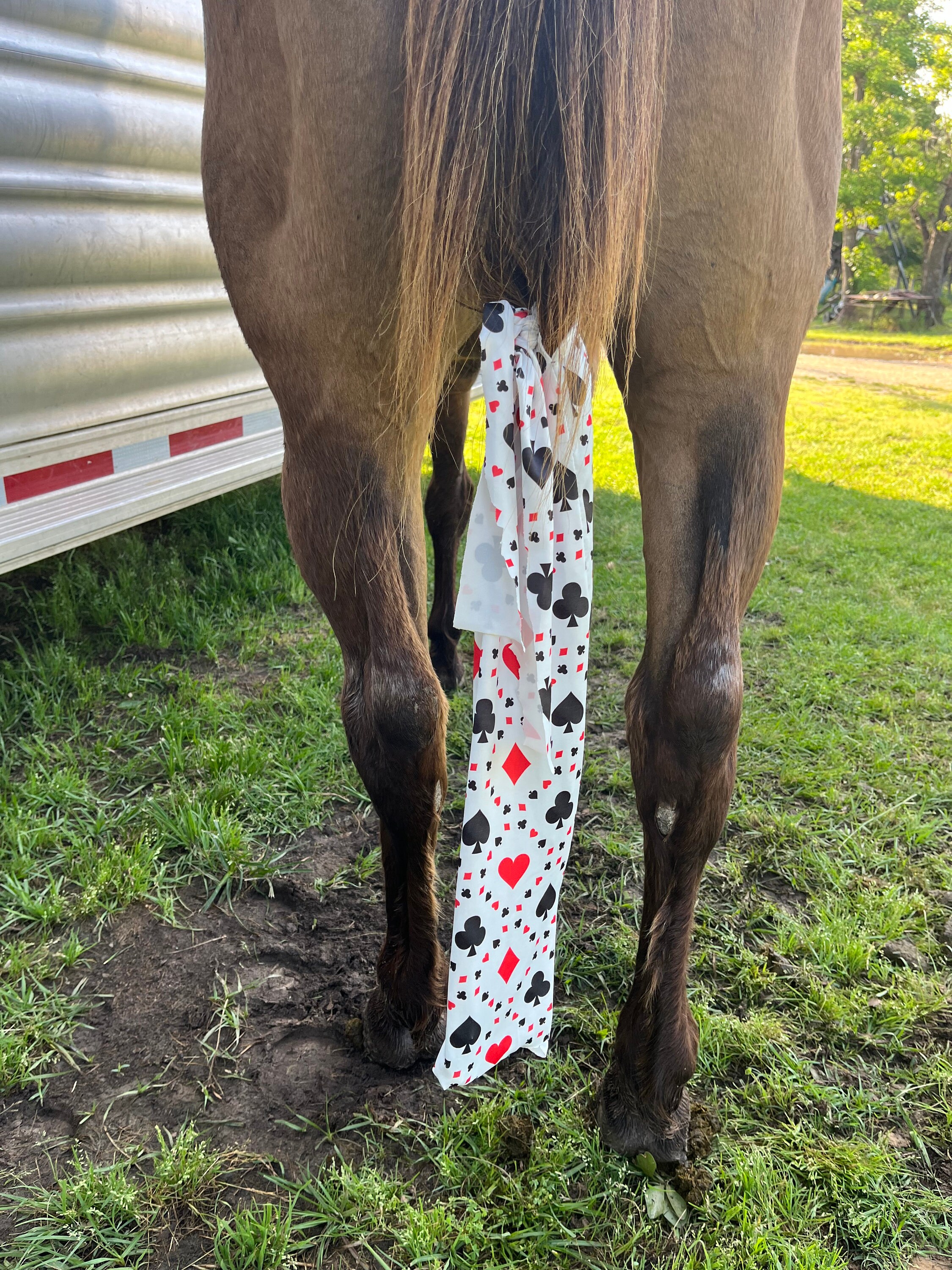 Horse tail top bag with fringe