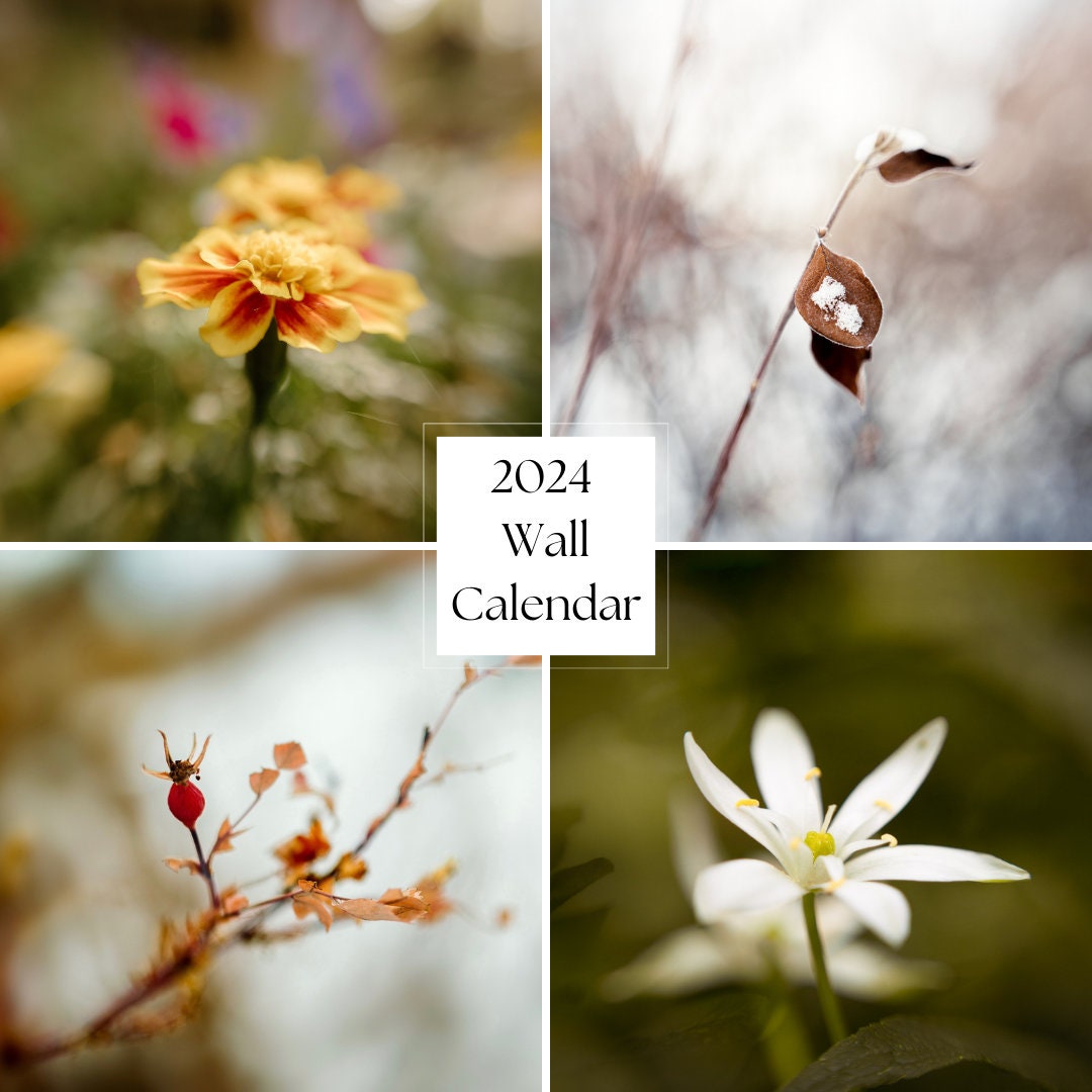 2024 Wall Calendar, Nature Macro Photography, Nature Wall Calendar