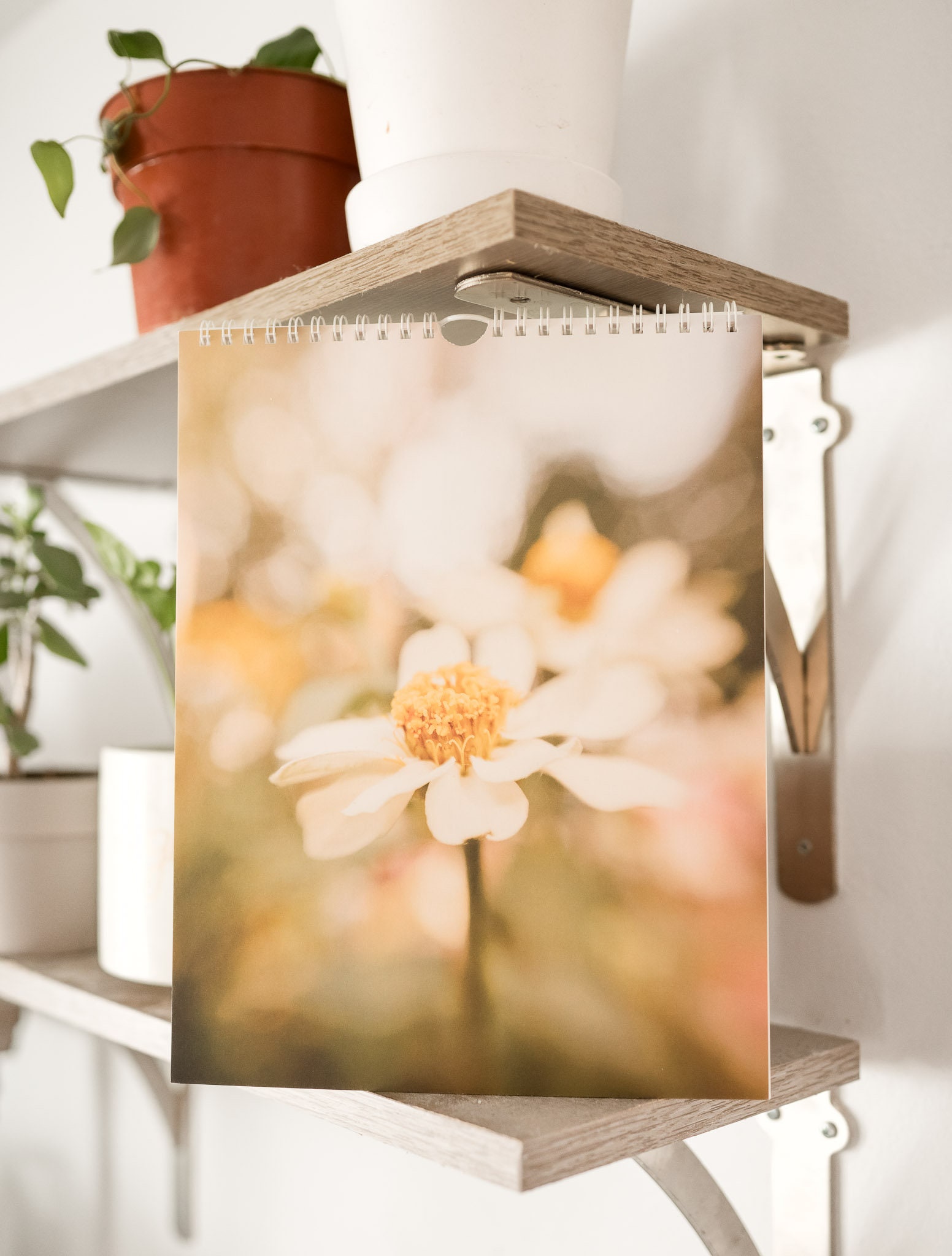 2024 Wall Calendar, Nature Macro Photography, Nature Wall Calendar