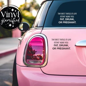 Best Things in Life Decal | Embrace the Humor| Funny Good Humor Decal | Witty Life Decal