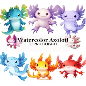 May include: A collection of eight watercolor axolotl illustrations in various colors including blue, purple, pink, yellow, and red, featuring external gills and tails. The text Watercolor Axolotl 30 PNG CLIPART is centered in the middle.