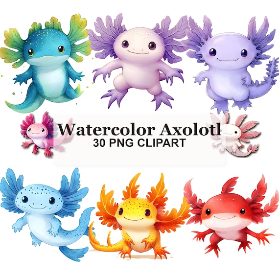 Watercolor Axolotl Clipart Bundle, 30 Cute PNG Graphics for Stickers, Party Invitations, Classroom Crafts & Canva Digital Download