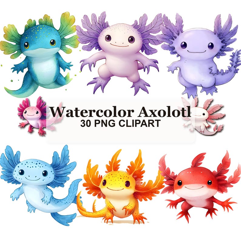 May include: A collection of eight watercolor axolotl illustrations in various colors including blue, purple, pink, yellow, and red, featuring external gills and tails. The text Watercolor Axolotl 30 PNG CLIPART is centered in the middle.
