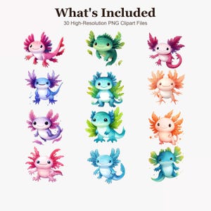 May include: A collection of 30 high-resolution PNG clipart files featuring watercolor-style axolotl illustrations in various colors including pink, blue, green, and orange, arranged in a grid with the text What's Included at the top.