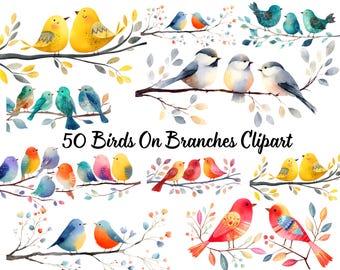 50 Birds on Branches Clipart PNG Bundle | Watercolor Woodland Bird Graphics Pack | Nature Illustrations for Crafts Prints
