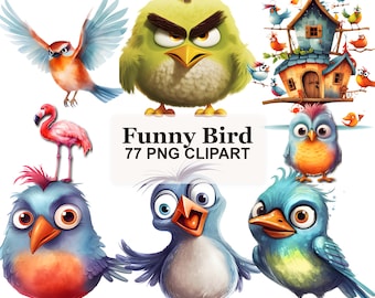 Funny Cartoon Bird Clipart Bundle, Cute Bird PNG Graphics, Whimsical Bird Stickers for Party Decor and Classroom Crafts