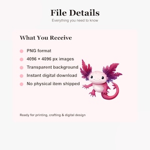 May include: A digital file listing featuring a pink axolotl illustration with dark pink gills and a curled tail. Text includes File Details, Everything you need to know, What You Receive, PNG format, 4096 x 4096 px images, Transparent background, Instant digital download, No physical item shipped, Ready for printing, crafting & digital design.