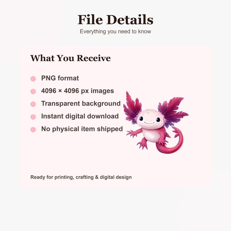 May include: A digital file listing featuring a pink axolotl illustration with dark pink gills and a curled tail. Text includes File Details, Everything you need to know, What You Receive, PNG format, 4096 x 4096 px images, Transparent background, Instant digital download, No physical item shipped, Ready for printing, crafting & digital design.