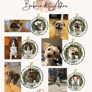 May include: A collage of before and after photos of pets on personalized Christmas ornaments. The ornaments are clear glass with a green wreath design and a nameplate at the bottom. The photos show the pets before and after they were placed in the ornaments.