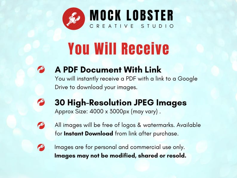 May include: A digital product image with the Mock Lobster Creative Studio logo and text that reads "You Will Receive." The text details a PDF document with a link, 30 high-resolution JPEG images, and usage rights.