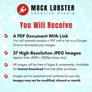 May include: A digital illustration of a red lobster with the text "MOCK LOBSTER CREATIVE STUDIO" above it. The text "You Will Receive" is in large red letters. Below the text are four bullet points with red lobster icons. The bullet points list the following: A PDF document with a link to download images, 37 high-resolution JPEG images, approximately 4000 x 3000 pixels, all images are free of logos and watermarks, and images are for personal and commercial use only. The text "Images may not be modified, shared or resold." is in bold red letters.