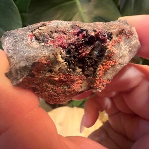 Erythrite