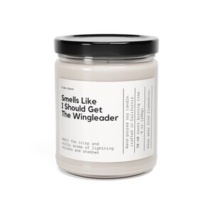 Smells Like I Should Get The Wingleader Candle, Fourth Wing Gift, Gift For Girlfriend, Tairn And Xaden Gift, Book Inspired, Iron Flame Merch image 8