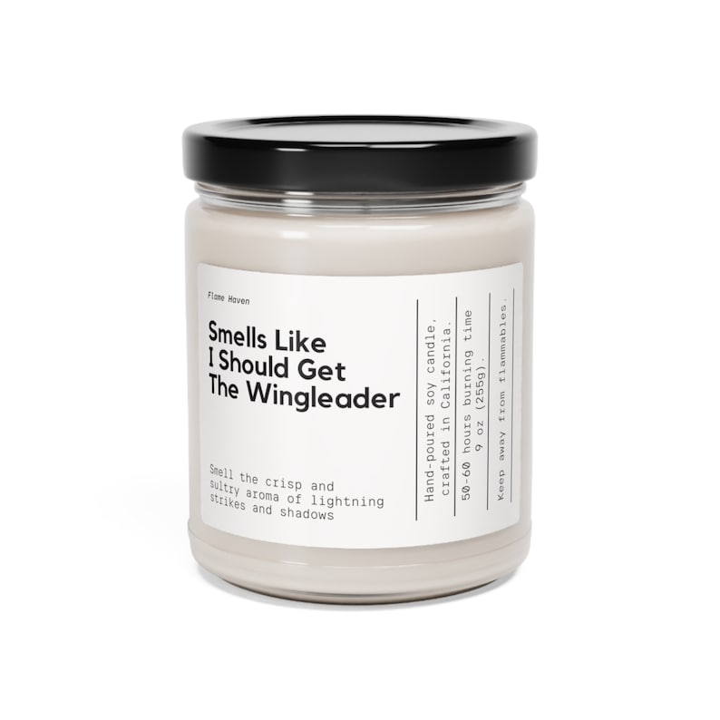 Smells Like I Should Get The Wingleader Candle, Fourth Wing Gift, Gift For Girlfriend, Tairn And Xaden Gift, Book Inspired, Iron Flame Merch image 8