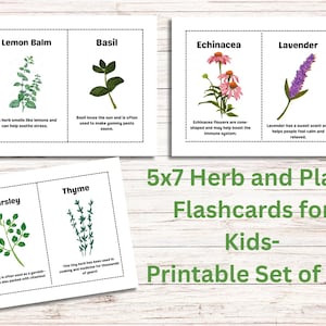 Herbs and Plants Flashcards for Kids – 14 Printable Cards for Homeschool Nature Study | Educational Botany Science PDF