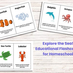 Flashcards animaux marins pour enfants | Ressource imprimable Sea Life pour l'école à la maison | Cartes d'information sur les animaux marins | Étude éducative sur la nature PDF