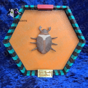 a 3d printed brown and tan coco beetle from the movie coraline in a green, black and orange button box with a gold plate that says "coco beetle Coraline"