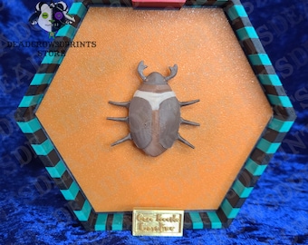 May include: A 3D-printed, hexagonal display featuring a brown and white beetle on an orange background. The frame is black and teal. A small gold plaque reads "Coco Beetle Creature". The display is from the Deadcrow Designs Store.