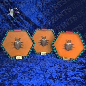 Puede incluir: Tres obras de arte de insectos enmarcadas. Cada pieza presenta un escarabajo marr&oacute;n y blanco sobre un fondo naranja dentro de un marco hexagonal. Los marcos tienen un patr&oacute;n geom&eacute;trico negro, verde azulado y naranja. El fondo es una tela azul oscuro.