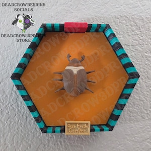 Puede incluir: Una exhibici&oacute;n de insectos enmarcada con un escarabajo marr&oacute;n y blanco con seis patas y dos antenas. El marco hexagonal tiene un borde negro, turquesa y rojo. El texto "Gees Feetle Coralite" est&aacute; en una peque&ntilde;a placa dorada.