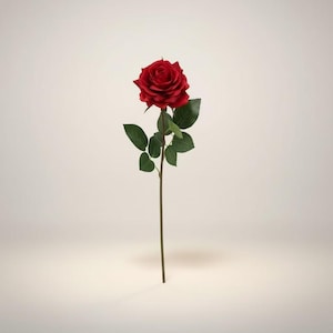 May include: A single, vibrant red rose with green leaves and a long, slender stem. The rose is in full bloom, showcasing its intricate petals. The stem is a dark brown color, and the leaves are a deep green.