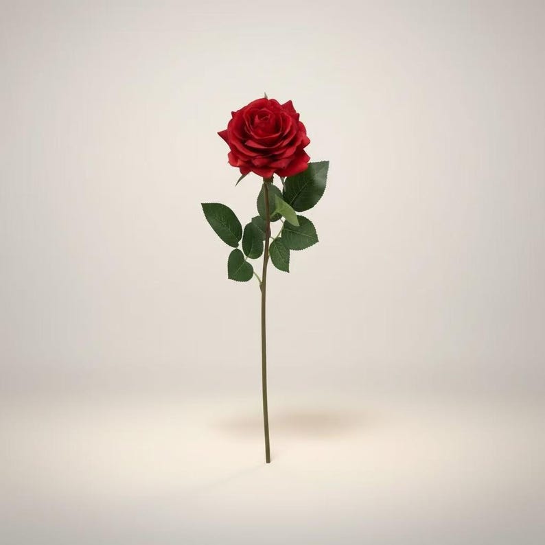 May include: A single, vibrant red rose with green leaves and a long, slender stem. The rose is in full bloom, showcasing its intricate petals. The stem is a dark brown color, and the leaves are a deep green.