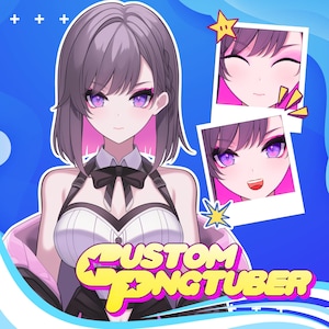 Custom Pngtuber | Pngtuber Character | Pngtuber Design | Pngtuber | Live2d Commission | Live2d model | Pngtuber Avatar
