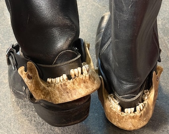 human skull jaw spurs straps set | western / cowboy / alternative / oddities