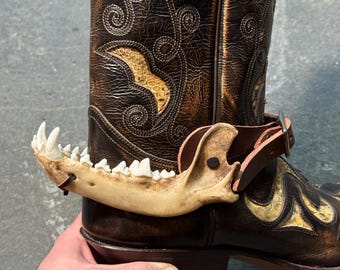 Coyote jaw spur strap set | Coyote jaw boot strap set