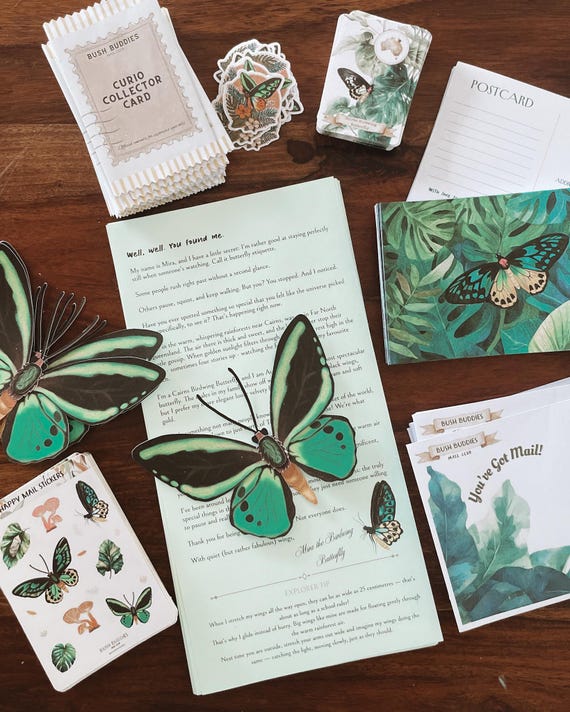 Monthly snail mail club for kids - March Happy Mail, Birdwing Butterfly, pen pal letter, Aussie Animal, collectibles, stickers, fact cards