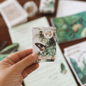 May include: A rectangular card featuring a black and white butterfly with the text "Cairns Birdwing Butterfly" on a banner. The card has a watercolor design of green leaves and a map of Australia. Other stationery items are in the background.