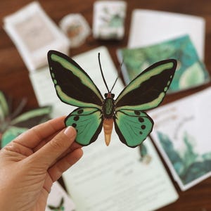 May include: A colorful butterfly cut-out with black and green wings, held by a hand. The butterfly has a yellow body and is surrounded by stationery items, including cards and small boxes, on a wooden surface.