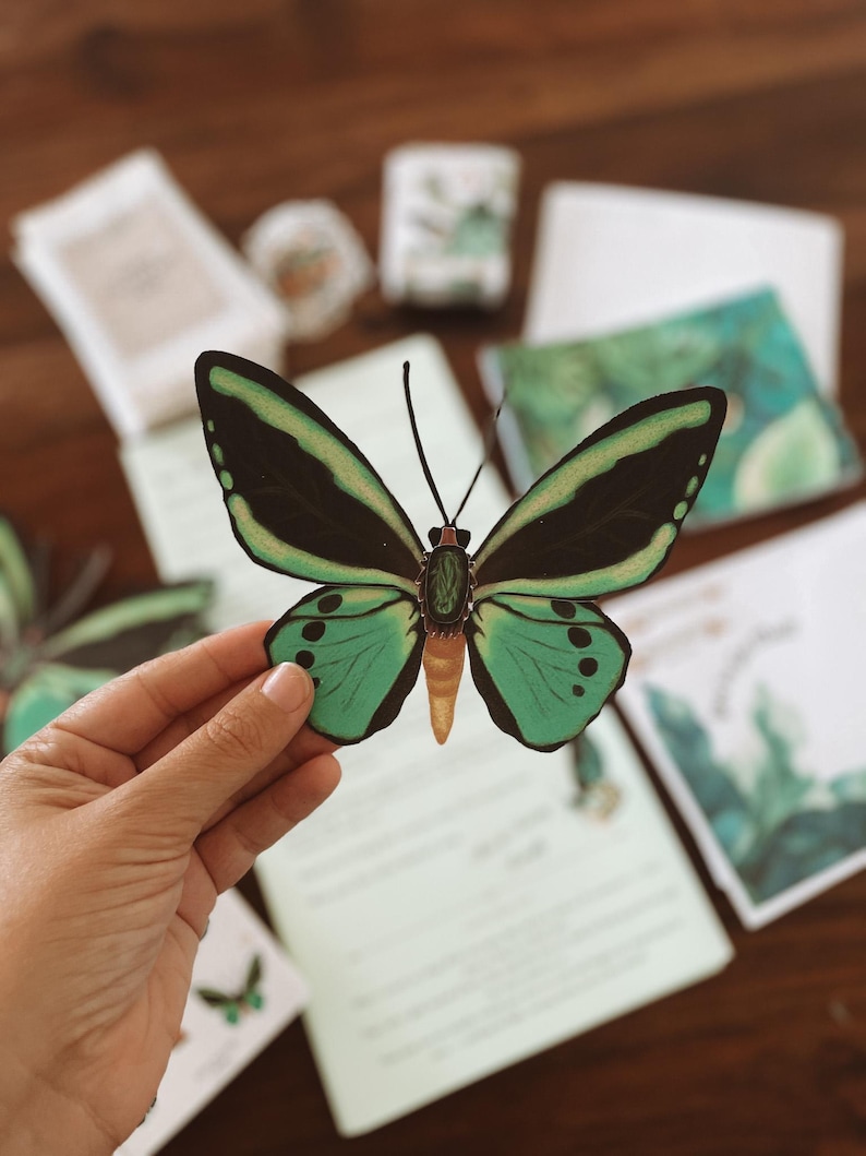 May include: A colorful butterfly cut-out with black and green wings, held by a hand. The butterfly has a yellow body and is surrounded by stationery items, including cards and small boxes, on a wooden surface.