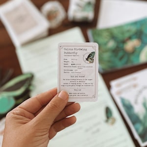 May include: A hand holding a card featuring a Cairns Birdwing Butterfly illustration. The card includes details about the butterfly's size, weight, and speed. Other cards and stationery are visible in the background.
